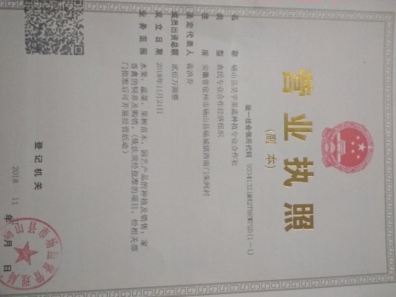 国庆红，中秋红蜜，润雪冬桃，自家苗圃，品种正宗