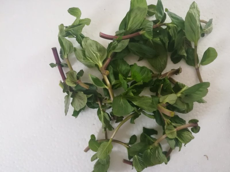 薄荷