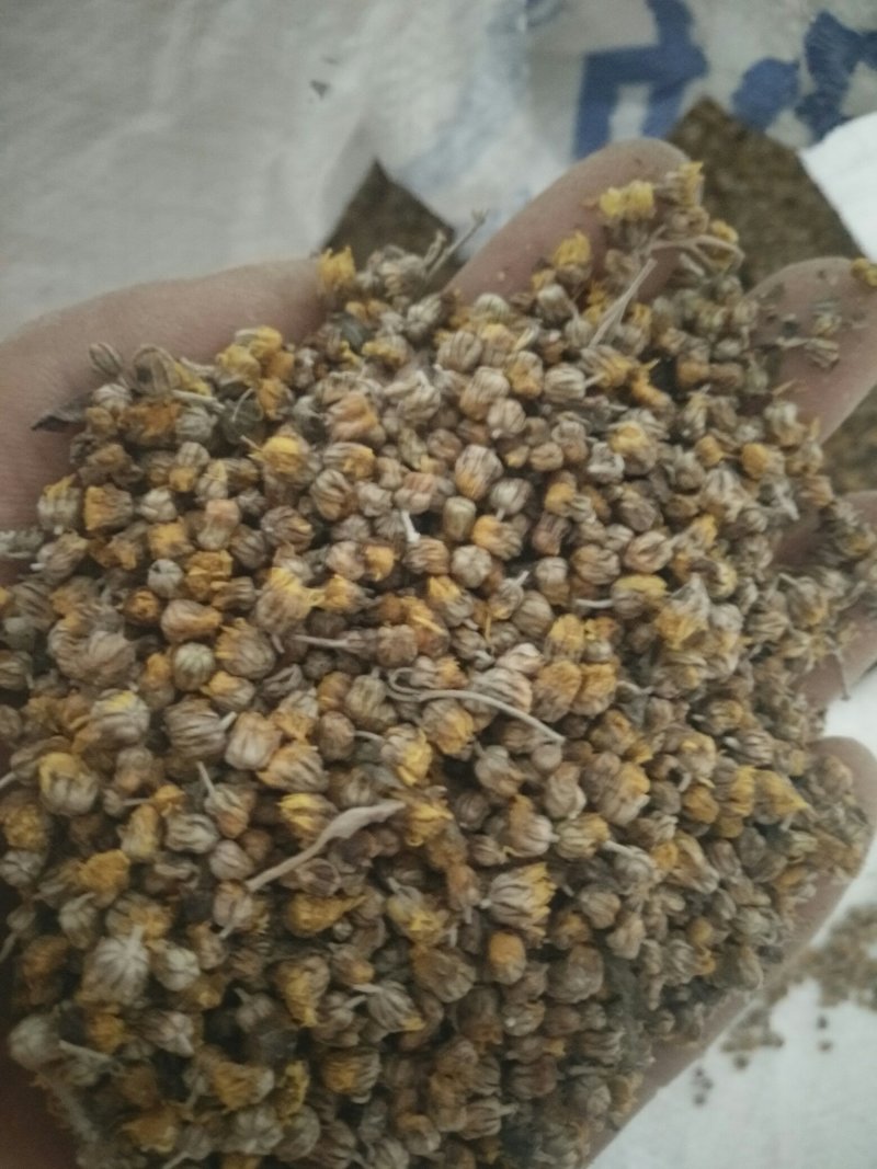 野菊花包含量纯颗粒