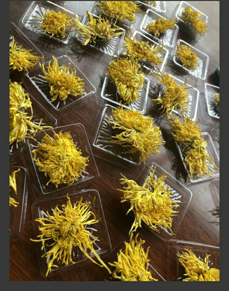 金丝皇菊茶