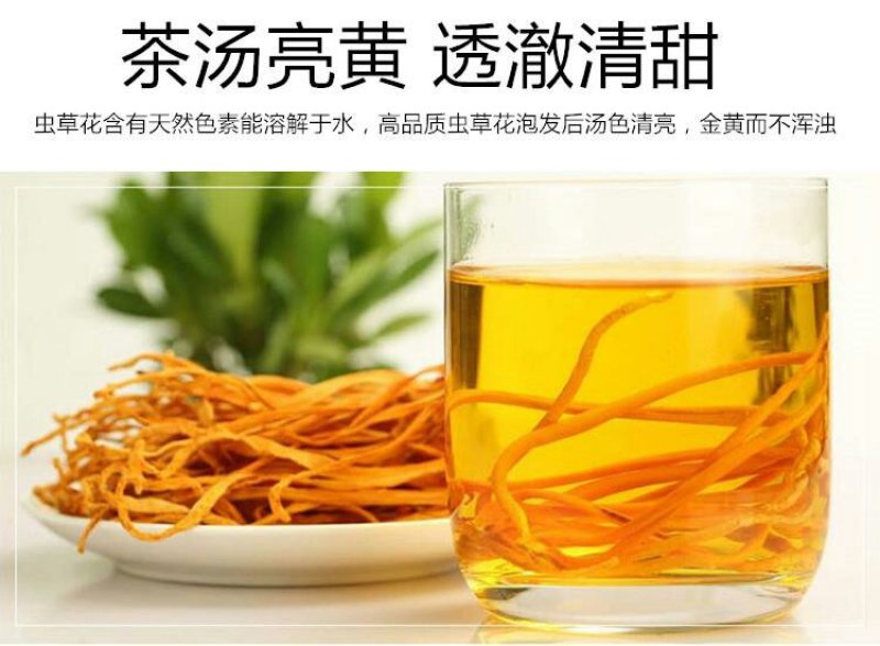 新鲜虫草花干货蛹虫草北虫草金虫草产地菌菇煲汤泡酒泡茶
