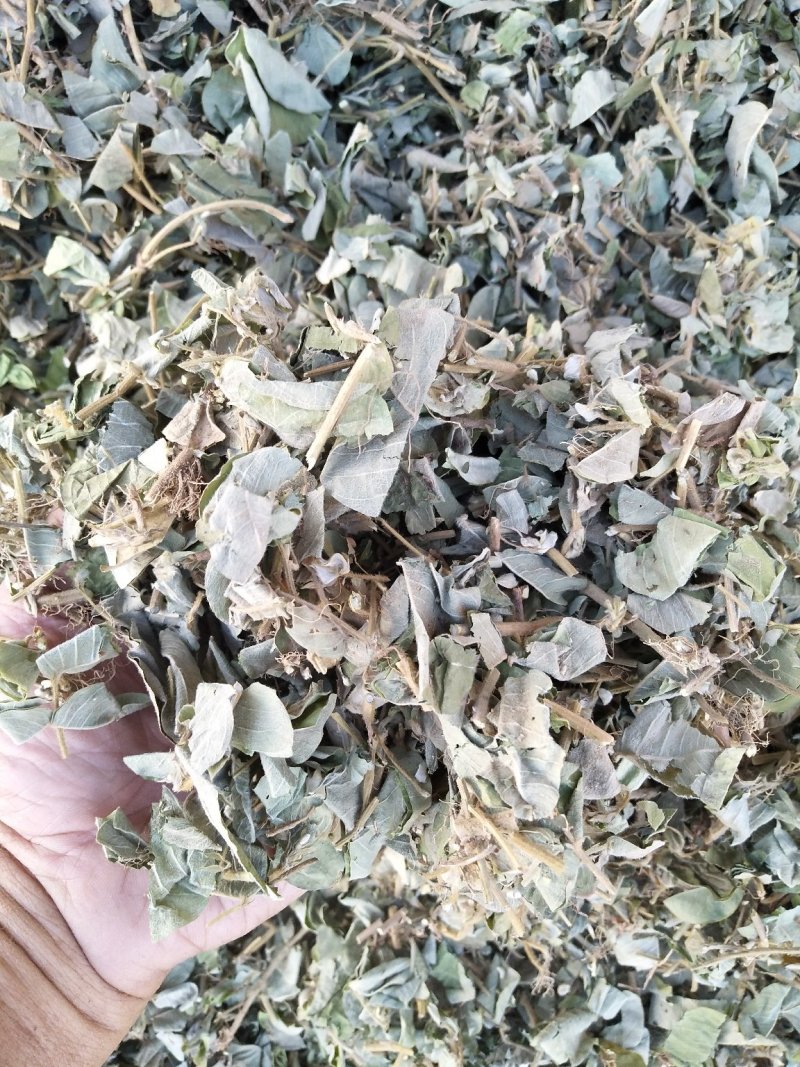 金钱草