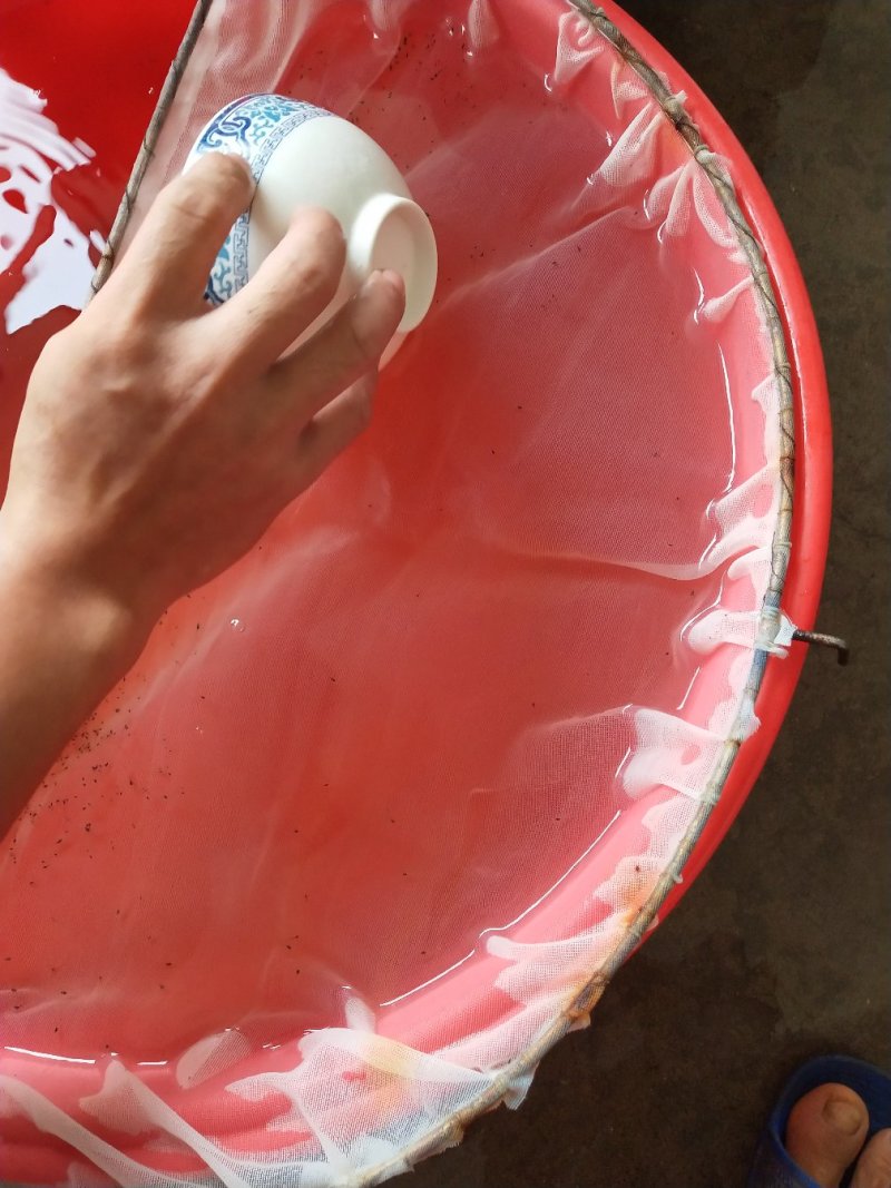 对虾