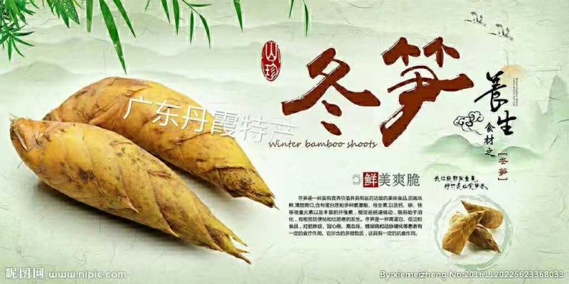 粤北野生深山冬笋