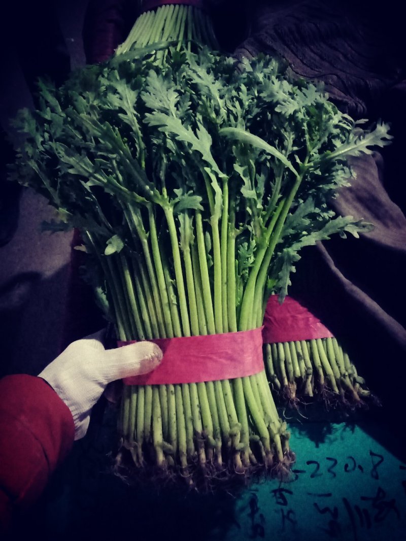 （优选）小茼蒿，产地发货，质量保证，欢迎选购
