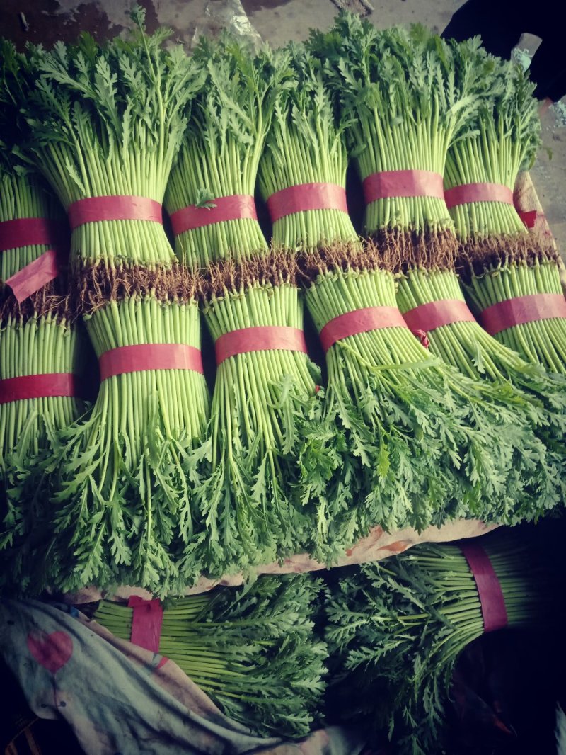 （优选）小茼蒿，产地发货，质量保证，欢迎选购