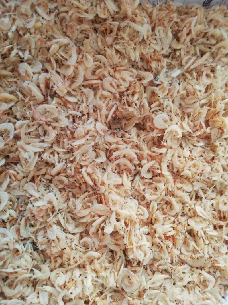 野生虾皮咸干货500g