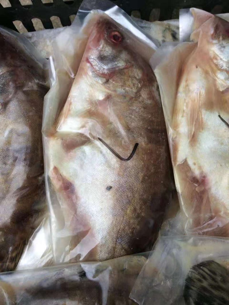 臭鳜鱼