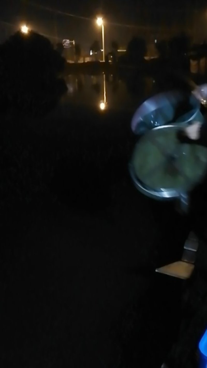 白鲫