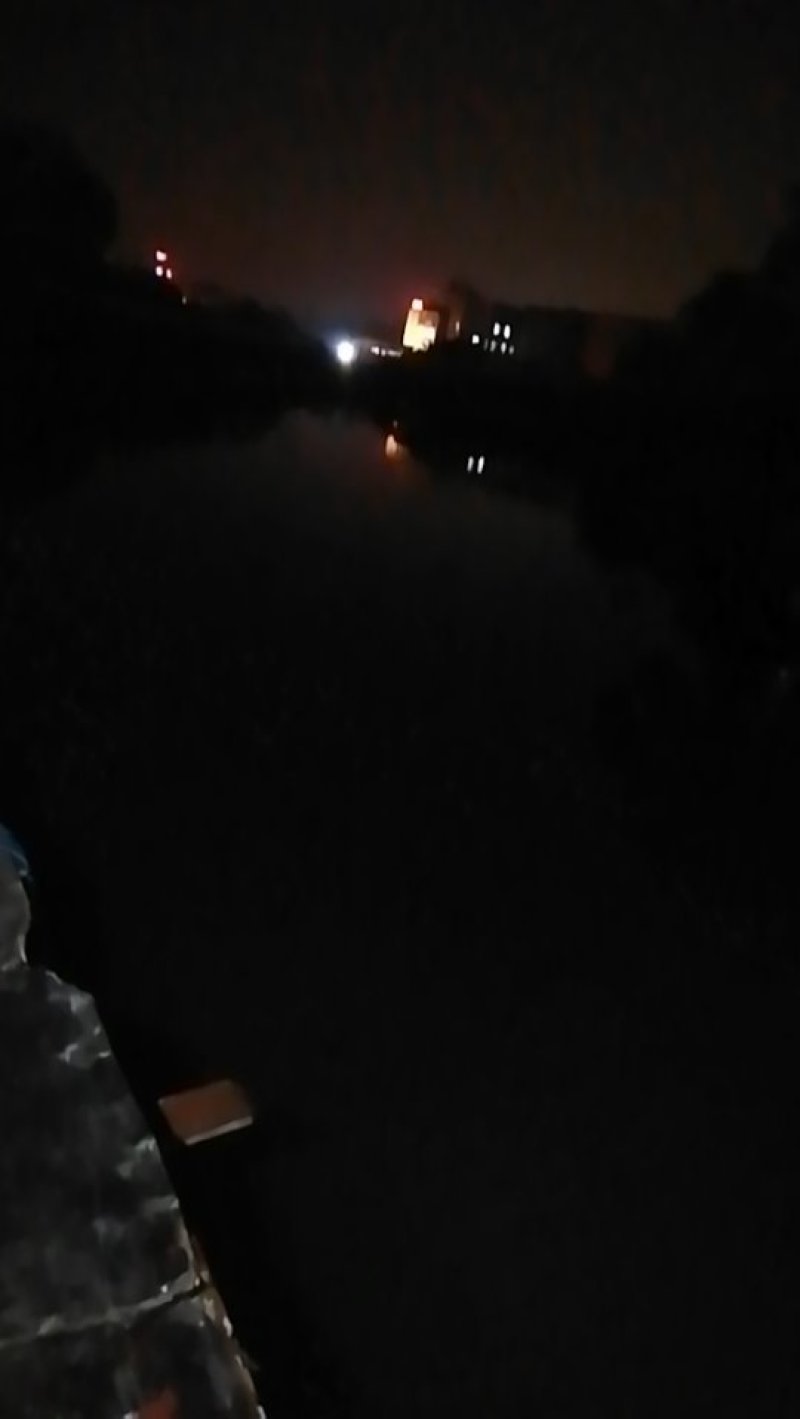 白鲫