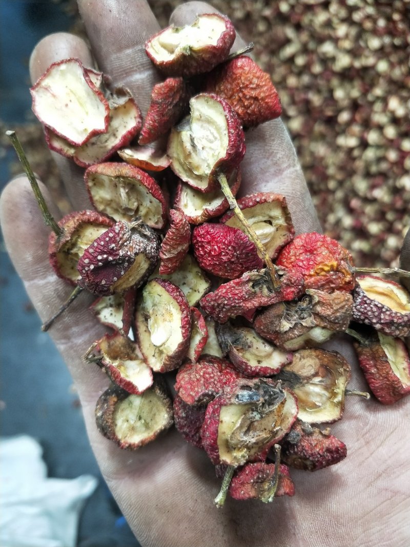山楂片。烘干有籽山楂片，过打拔机