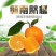 正宗赣南脐橙（试吃装）