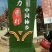 正宗陕西富平柿饼