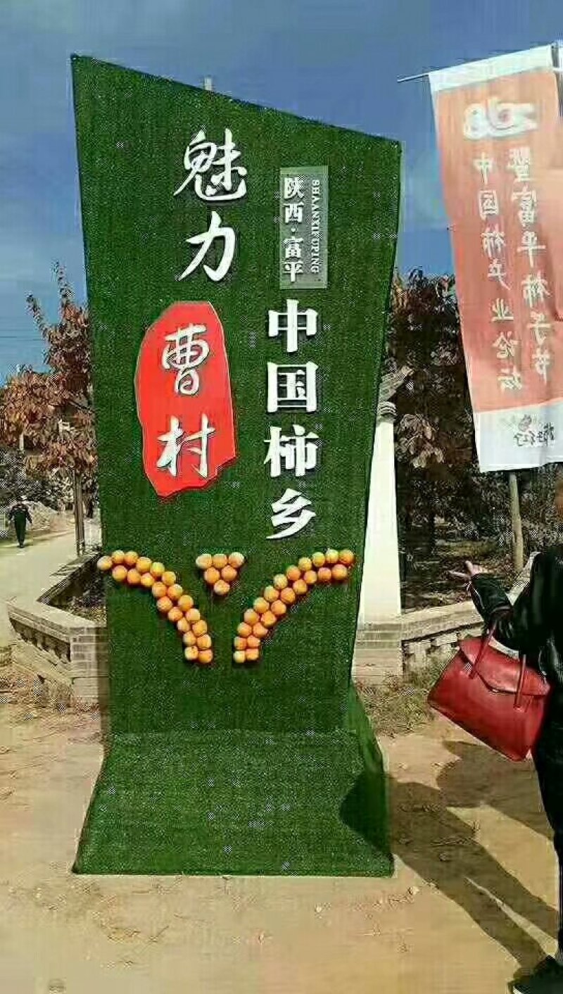 正宗陕西富平柿饼
