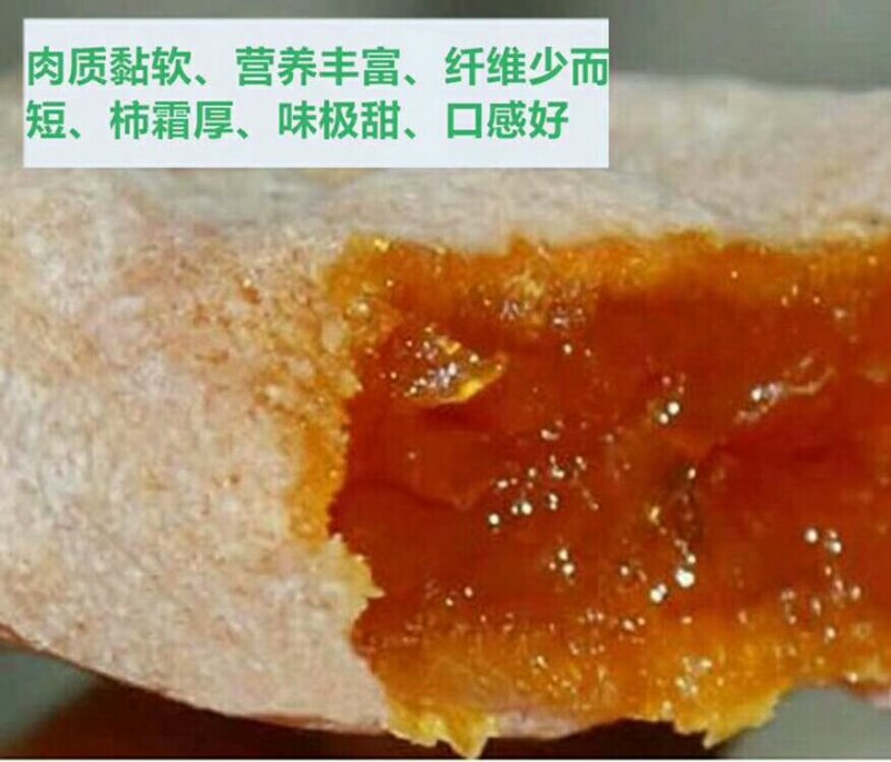 正宗陕西富平柿饼