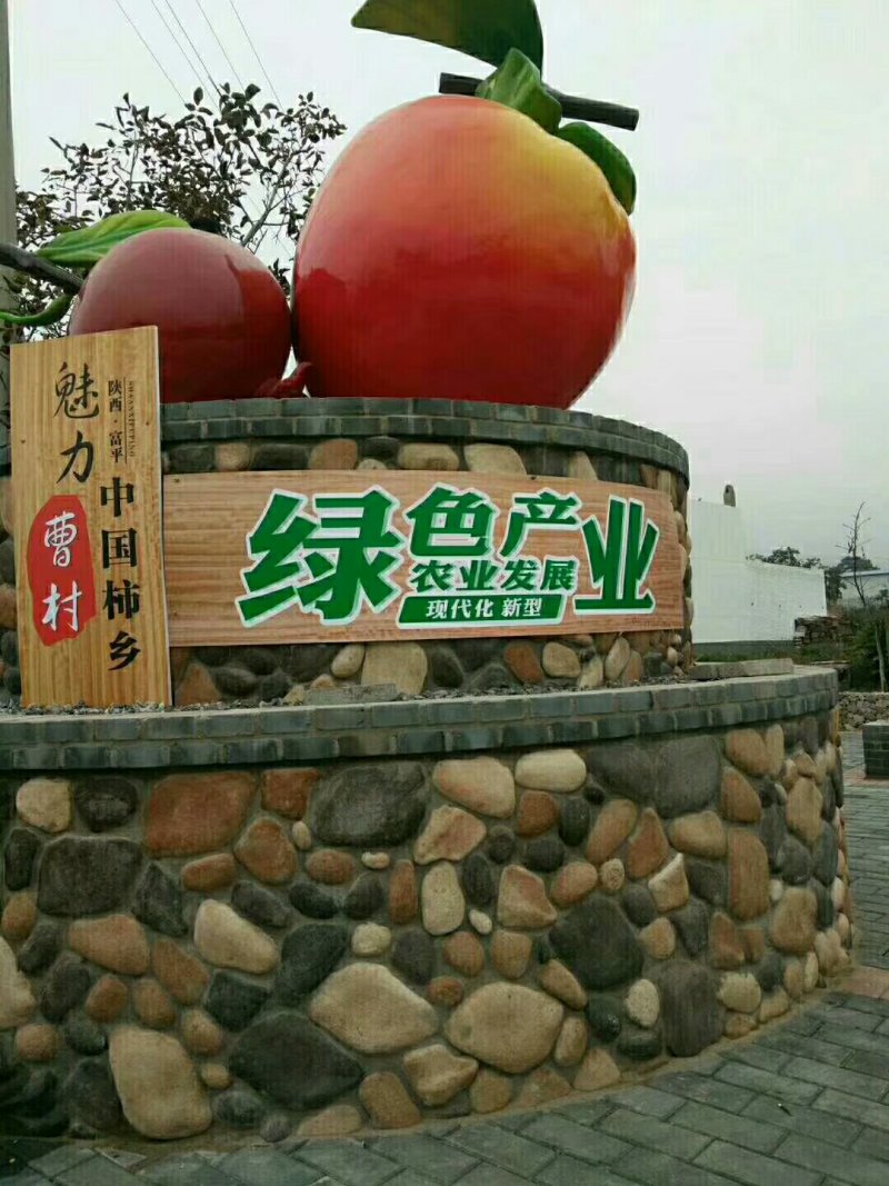 正宗陕西富平柿饼