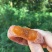 广西柿饼三斤包邮购