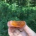 广西柿饼三斤包邮购