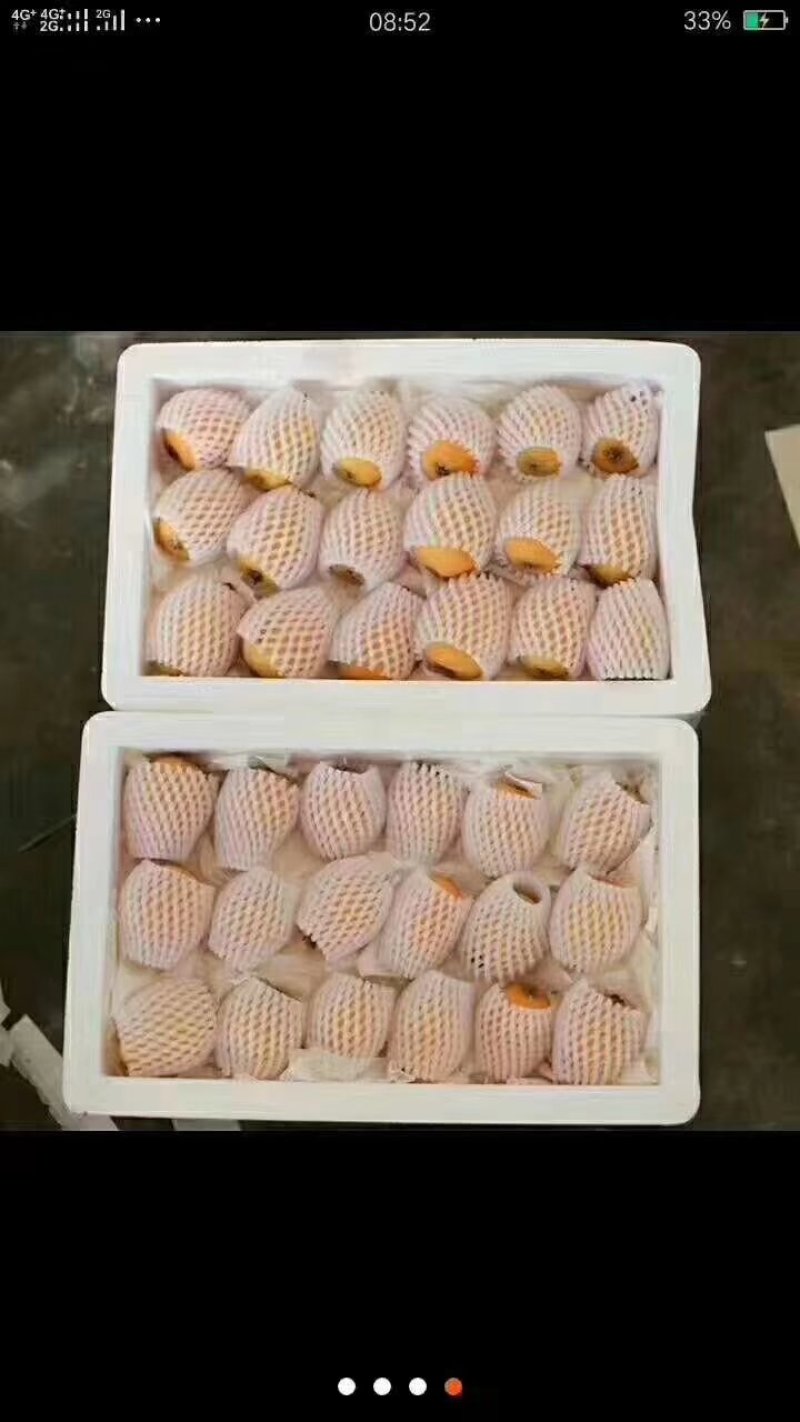 米易枇杷