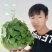 山乌龟地不容金不焕多肉植物办公室室内外盆景，一件代发