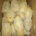 精品土豆四两通天货