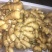 精品水洗面姜9~两