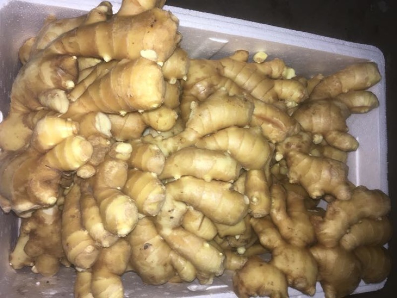 精品水洗面姜9~两