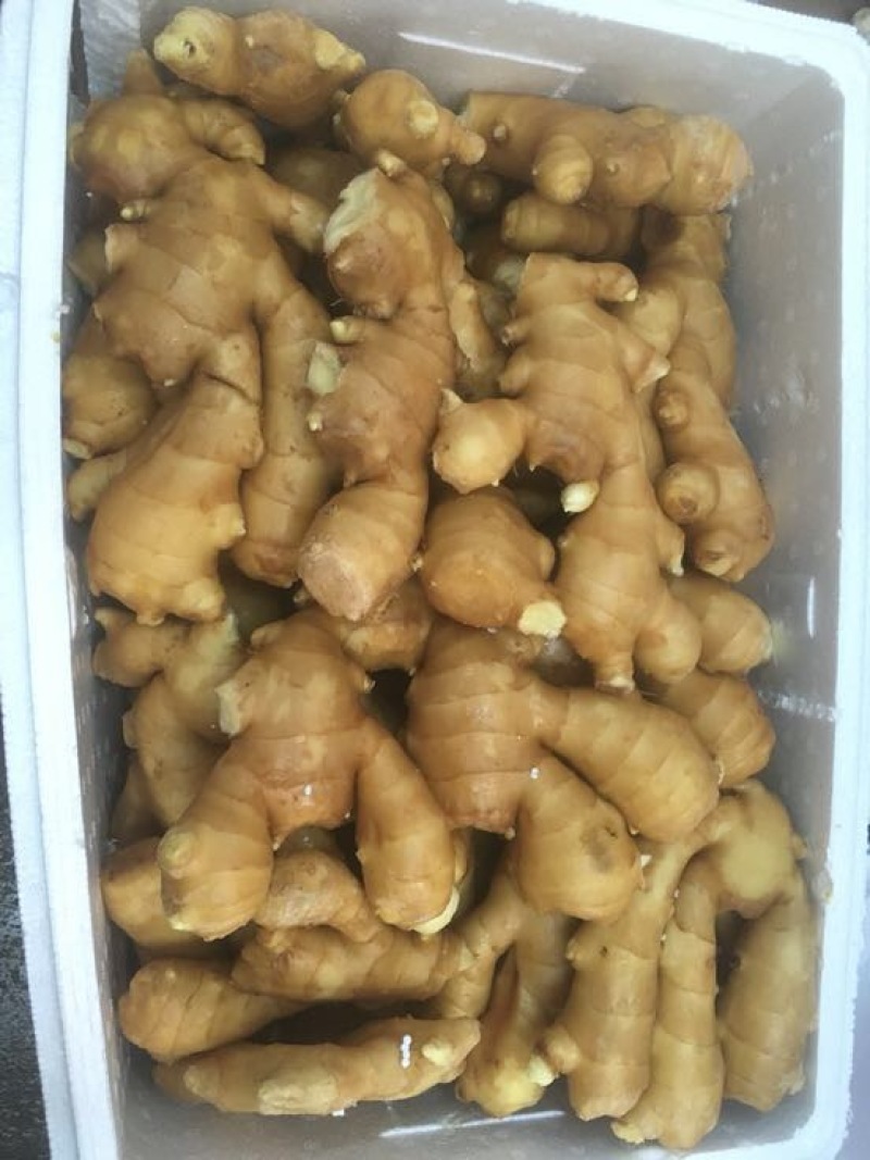 精品水洗面姜9~两