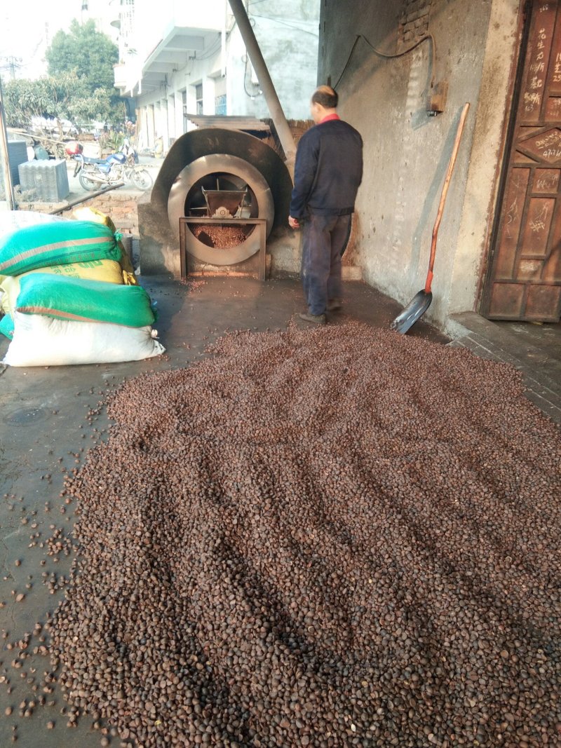 油茶油