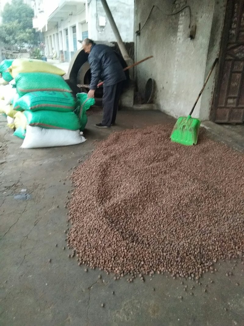 油茶油