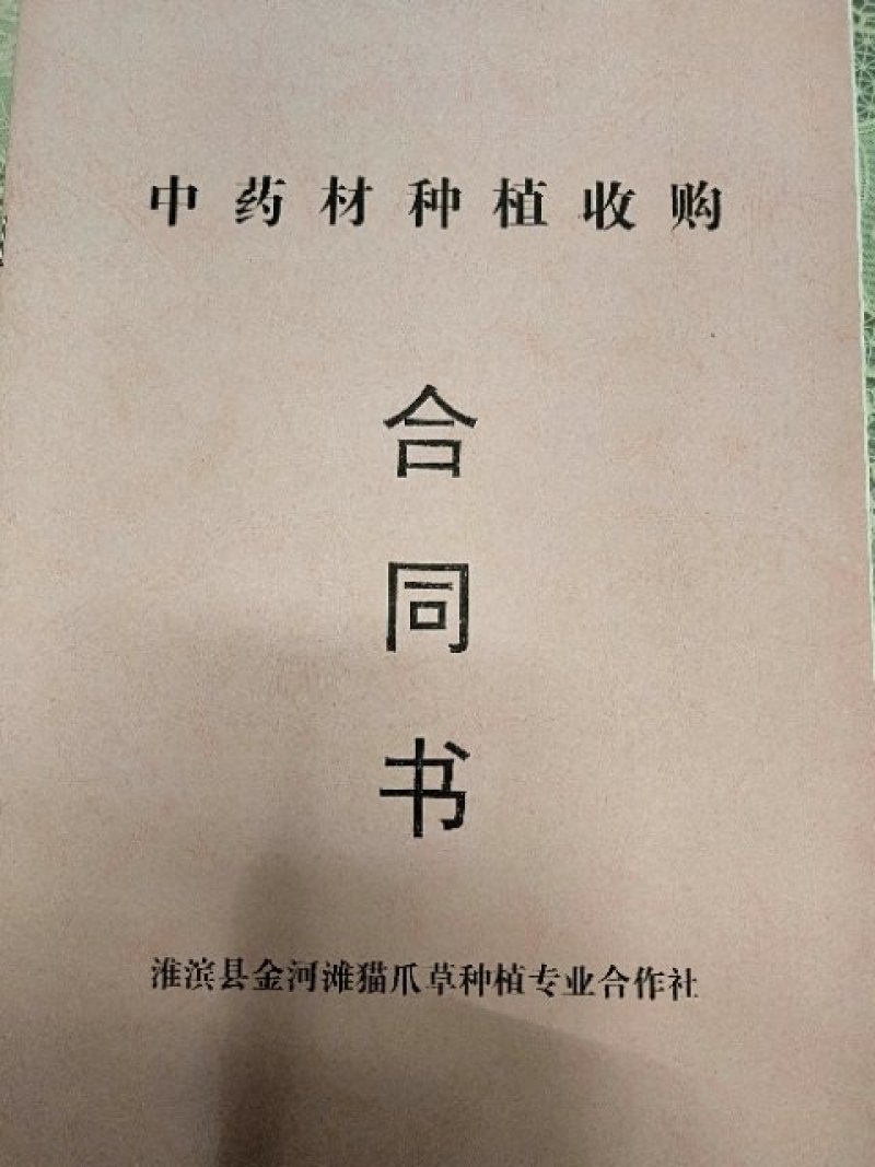 猫爪草种苗发货全国各地
