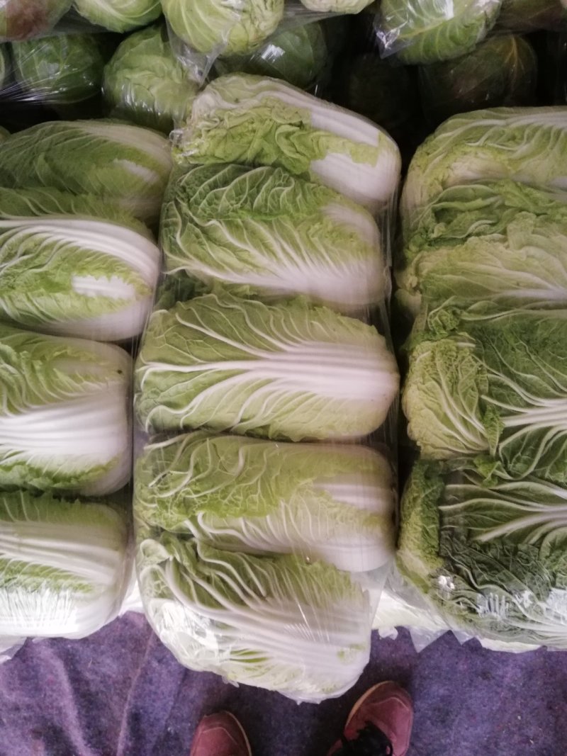白菜金黄芯，质保量大，口感好，欢迎各地客户选购