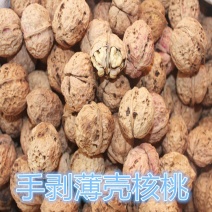 云南薄壳大麻子核桃