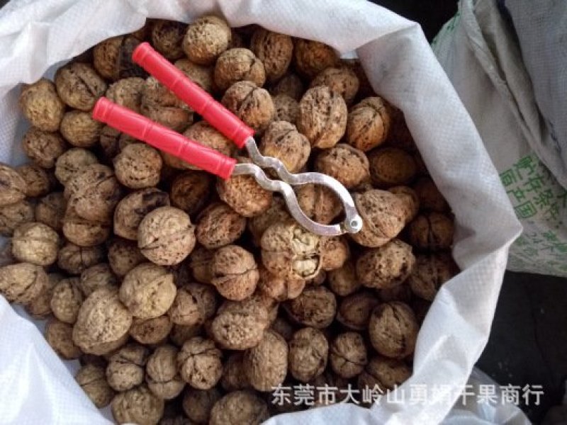云南薄壳大麻子核桃