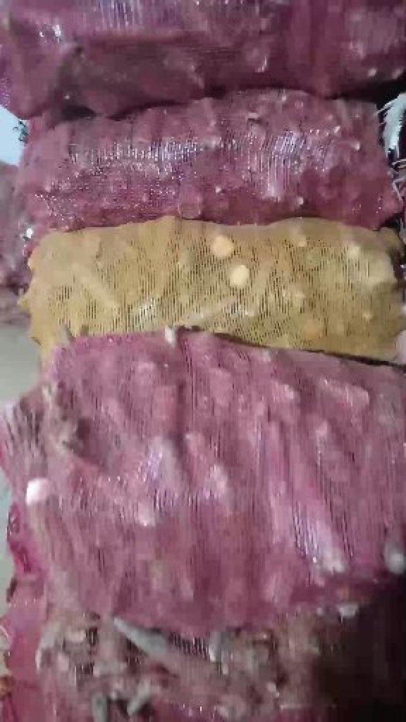山药下脚料大量有货