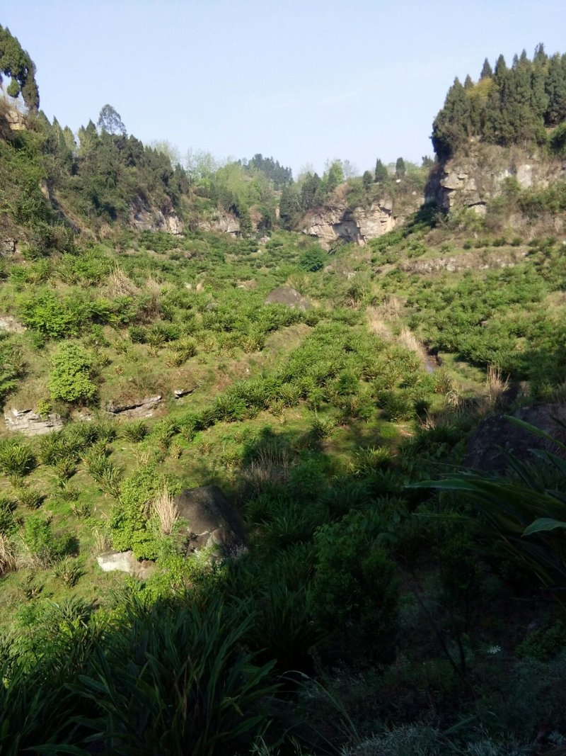 提供土地养殖，条件好，环保没问题，水电方便，合作也可以