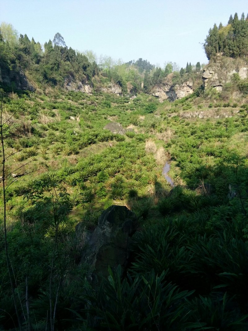 提供土地养殖，条件好，环保没问题，水电方便，合作也可以
