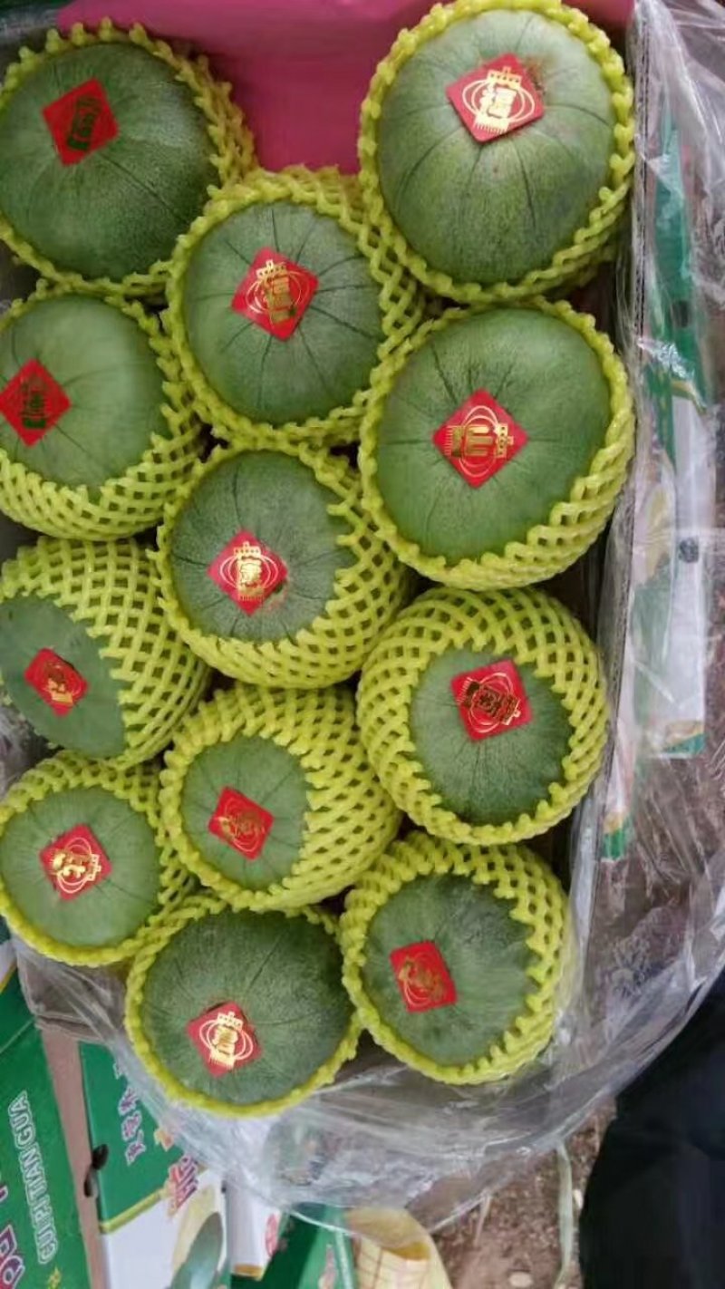 绿宝石香瓜各种品种香瓜。。。。。。