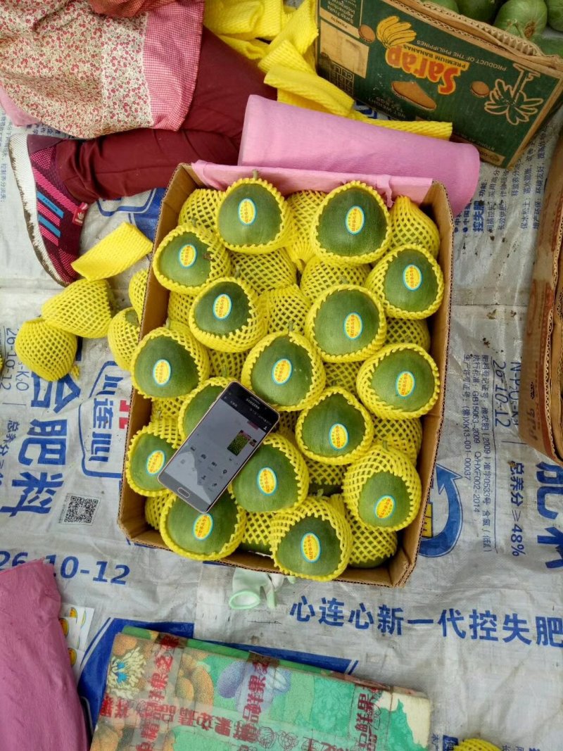 绿宝石香瓜各种品种香瓜。。。。。。