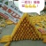 玉米种子