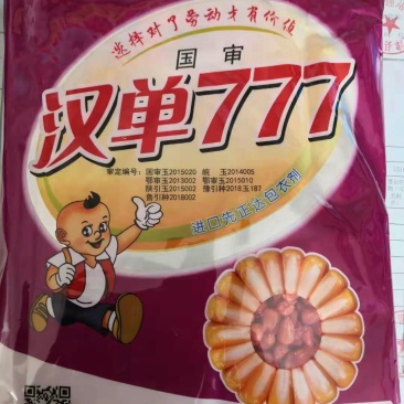 玉米种子