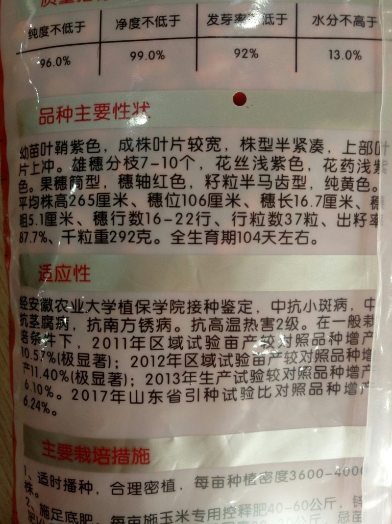 玉米种子