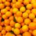 推荐秭归中华红雪橙大量上市口感甜果面好，提供洗果包产地