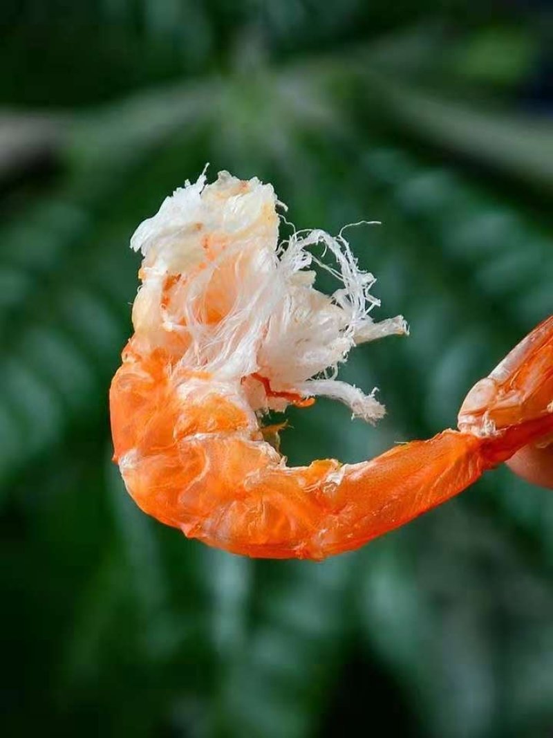 烤虾干即食虾干海鲜干货烤干虾即食特产大虾干对虾干