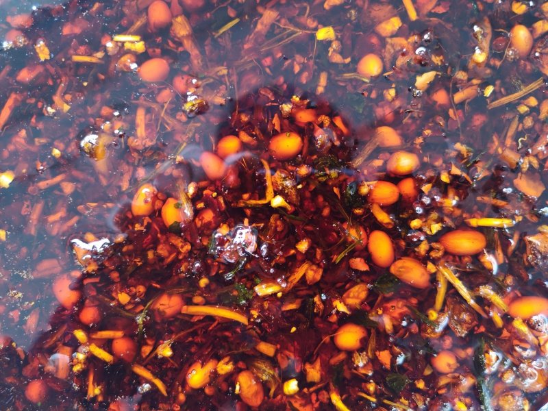 江口特色小吃米豆腐