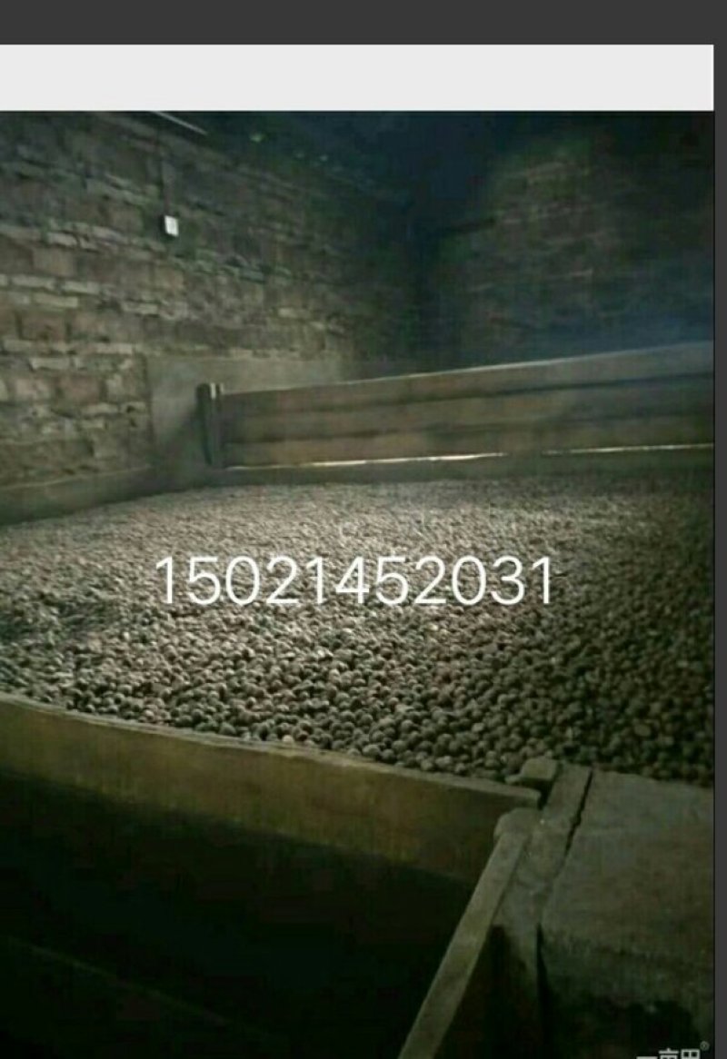 油茶仔