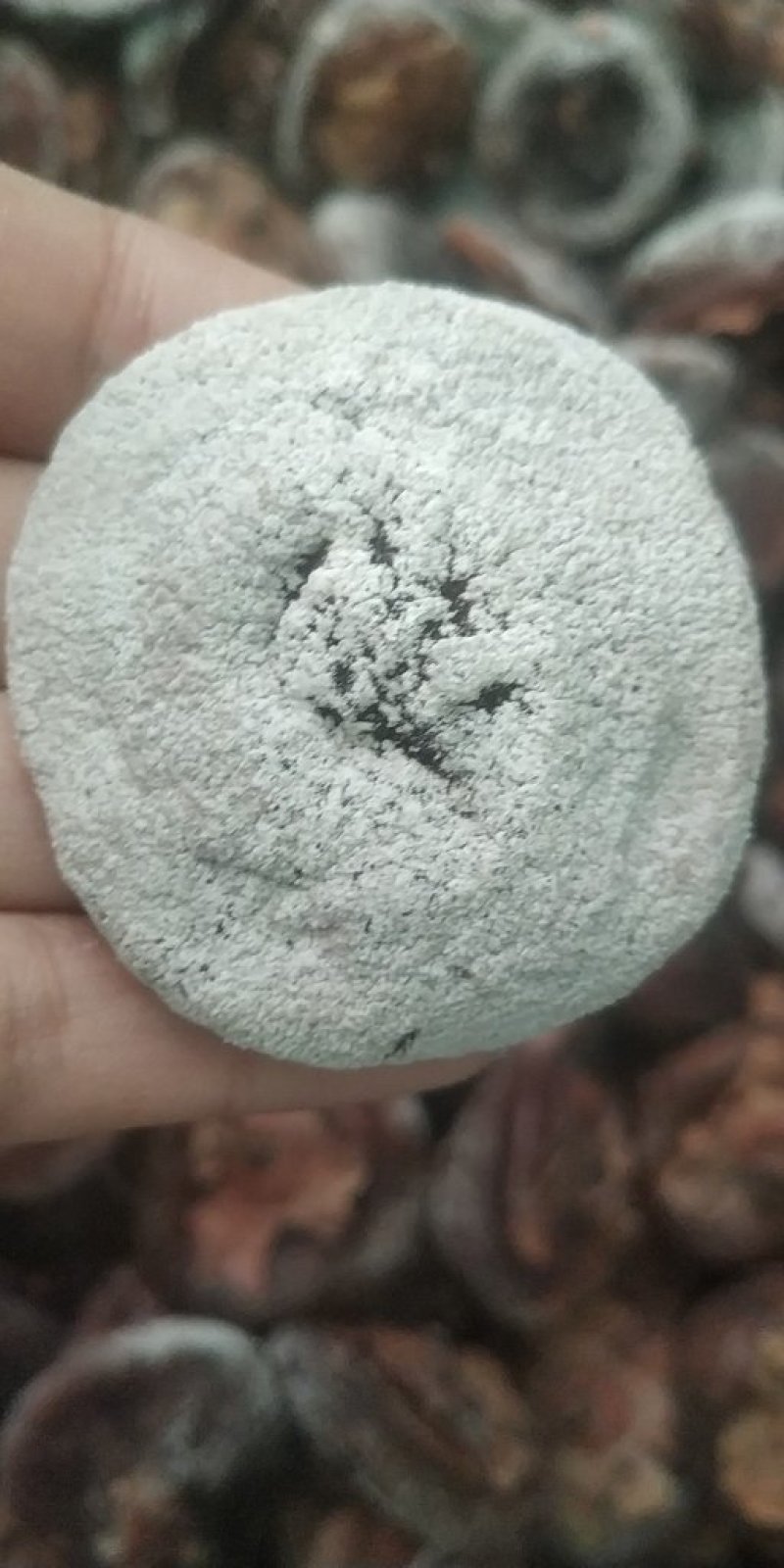 陕西圆柿饼