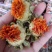 红花果茶红花头菠萝花茶新货红花茶