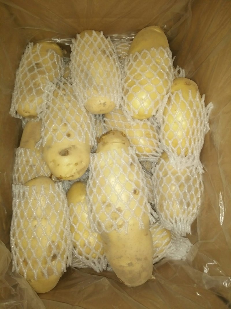 精品香菜自存三优货
