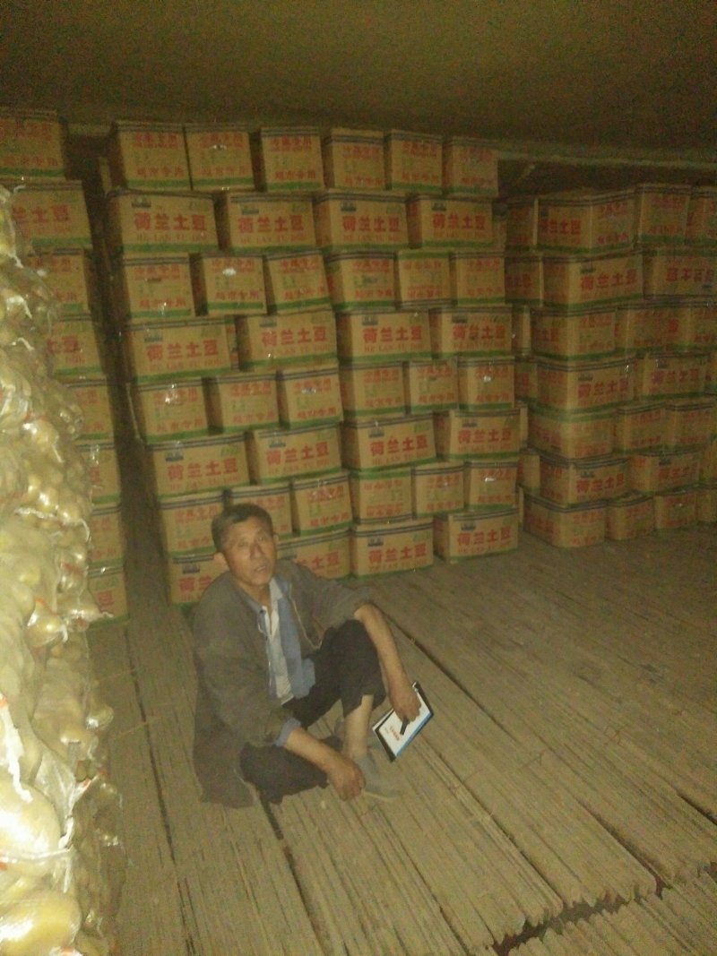 精品香菜自存三优货